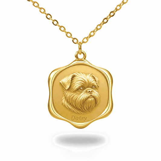 Soulyshine Affenpinscher Precious Paw personalized pet photo necklace - 18K Gold Vermeil front