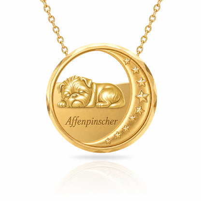 SoulyShine Affenpinscher Starry Slumber – Personalized Pet in The Moon Necklace - 18K Gold Vermeil front