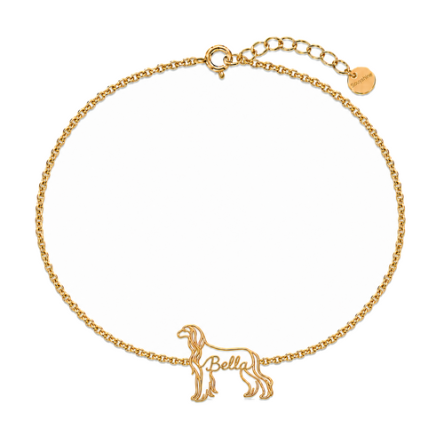 Afghan-Hound_Bella_Gold.png