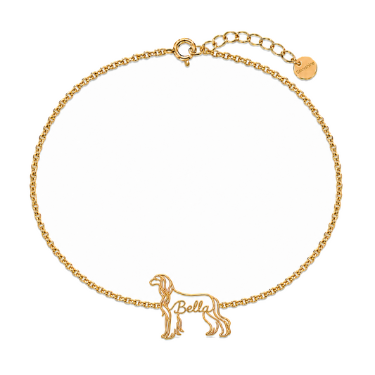 Afghan-Hound_Bella_Gold.png