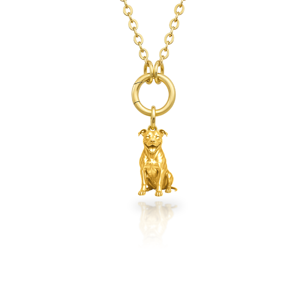 AmStaff - 18K Gold Vermeil - 1st