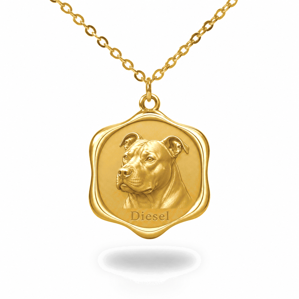 Soulyshine AmStaff Precious Paw personalized pet photo necklace - 18K Gold Vermeil front