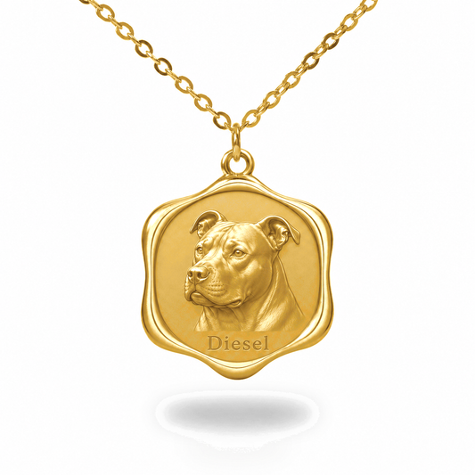 Soulyshine AmStaff Precious Paw personalized pet photo necklace - 18K Gold Vermeil front
