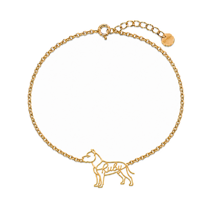 AmStaff_Ruby_Gold.png
