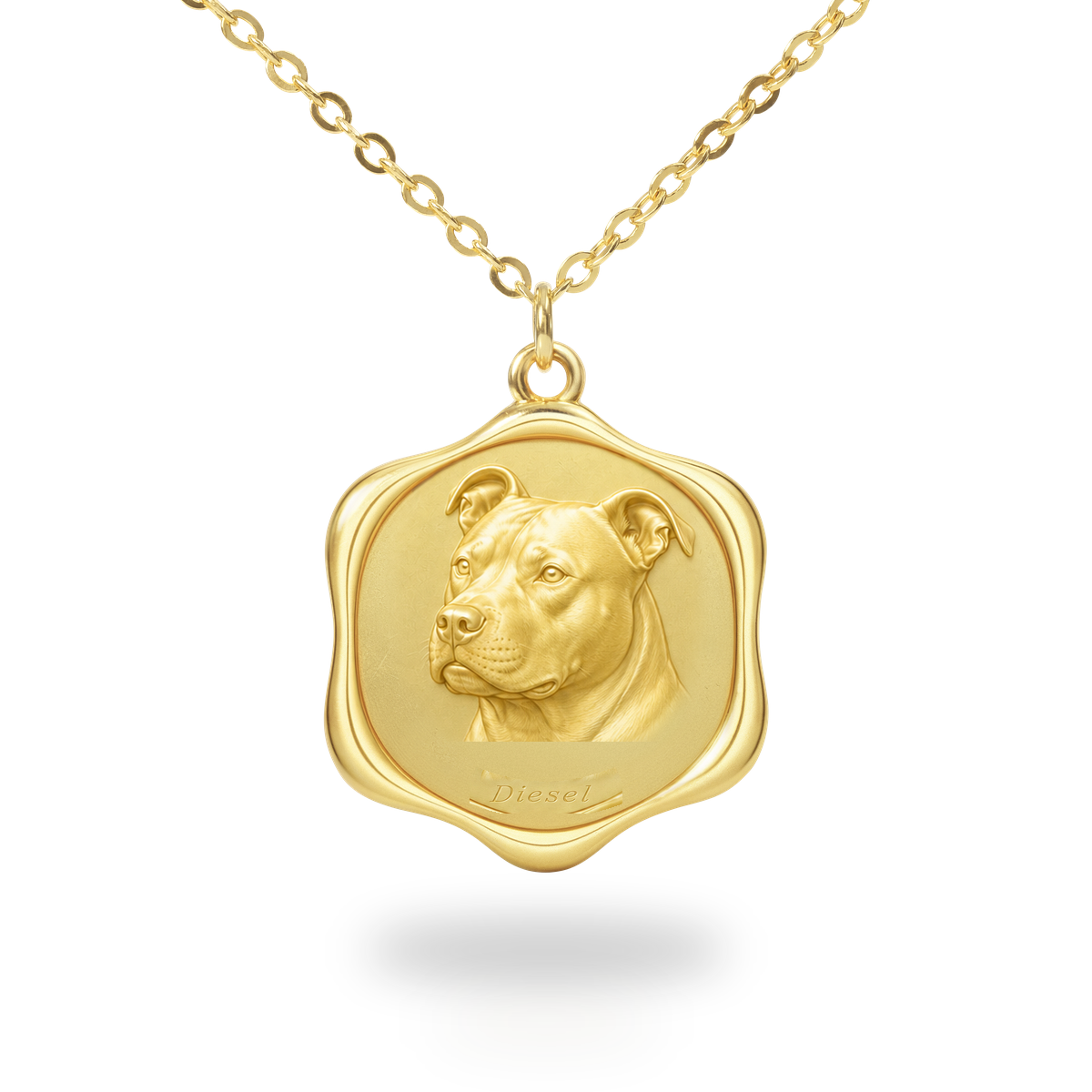 Soulyshine AmStaff Precious Paw personalized pet photo necklace - 18K Gold Vermeil front