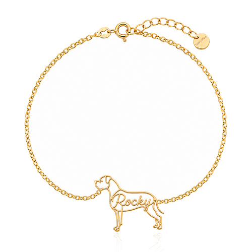 American-Bulldog_Rocky_Gold.png