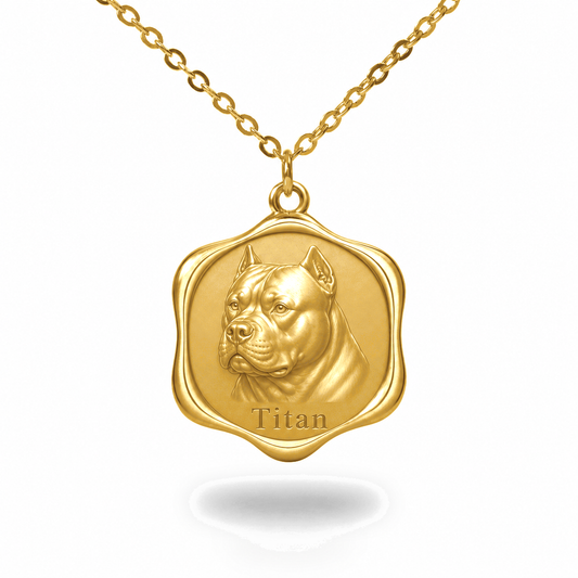 Soulyshine American Bully Precious Paw personalized pet photo necklace - 18K Gold Vermeil front