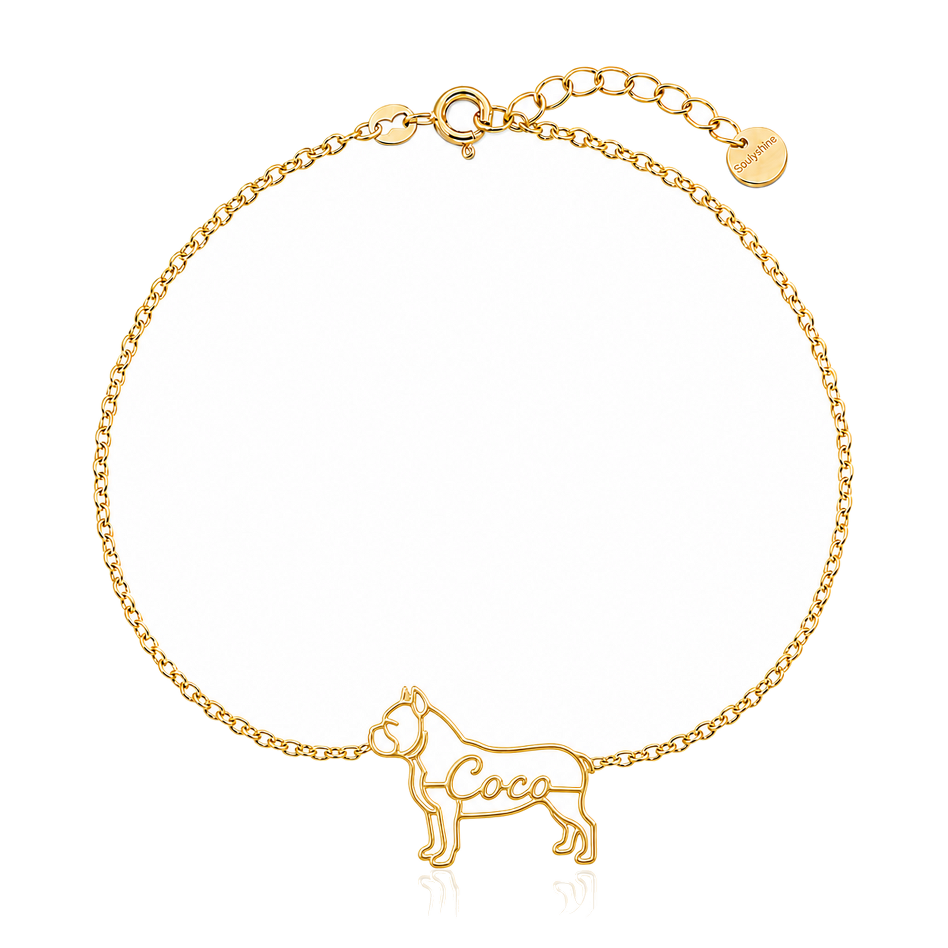 American-Bully_Coco_Gold.png