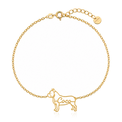 American-Bully_Coco_Gold.png
