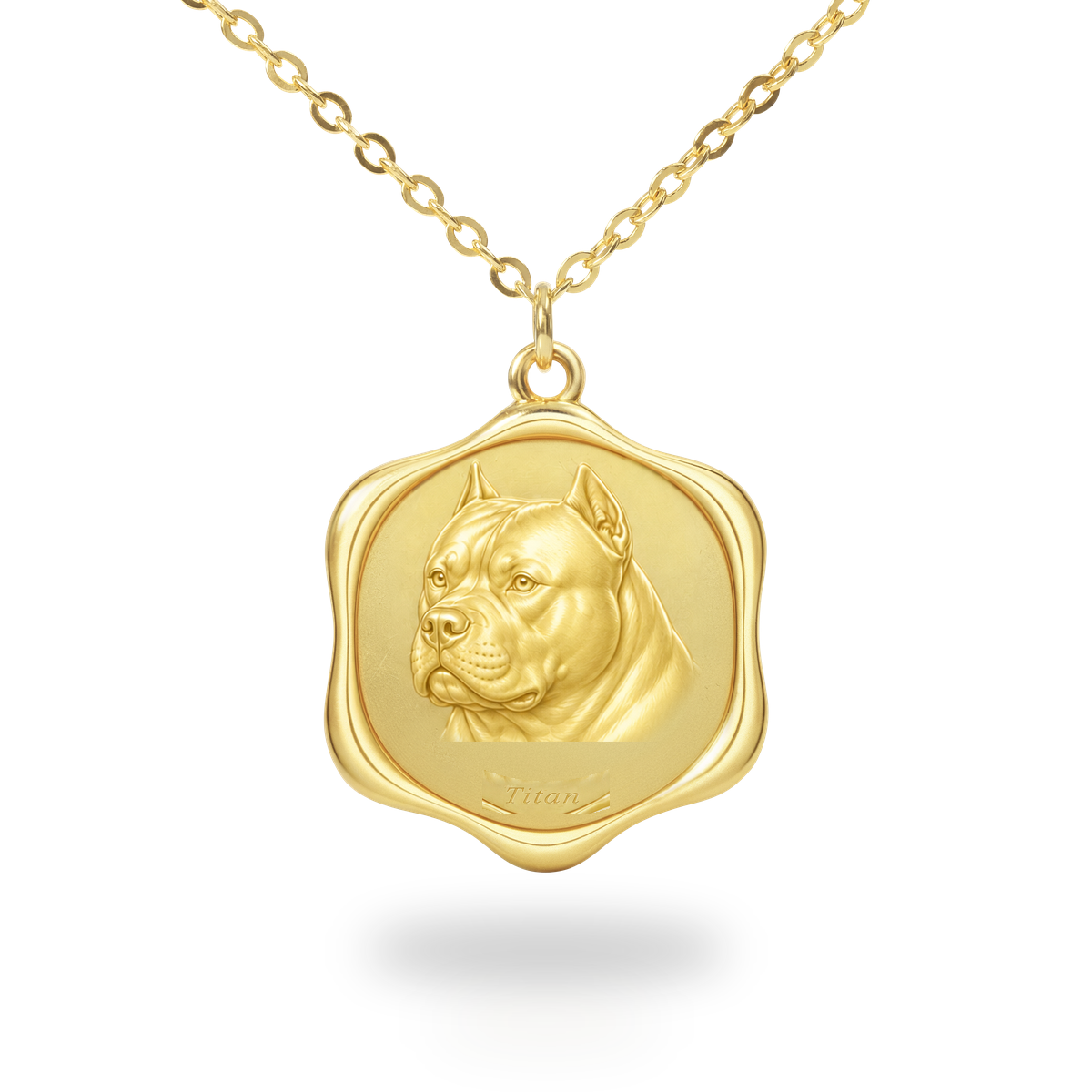 Soulyshine American Bully Precious Paw personalized pet photo necklace - 18K Gold Vermeil front