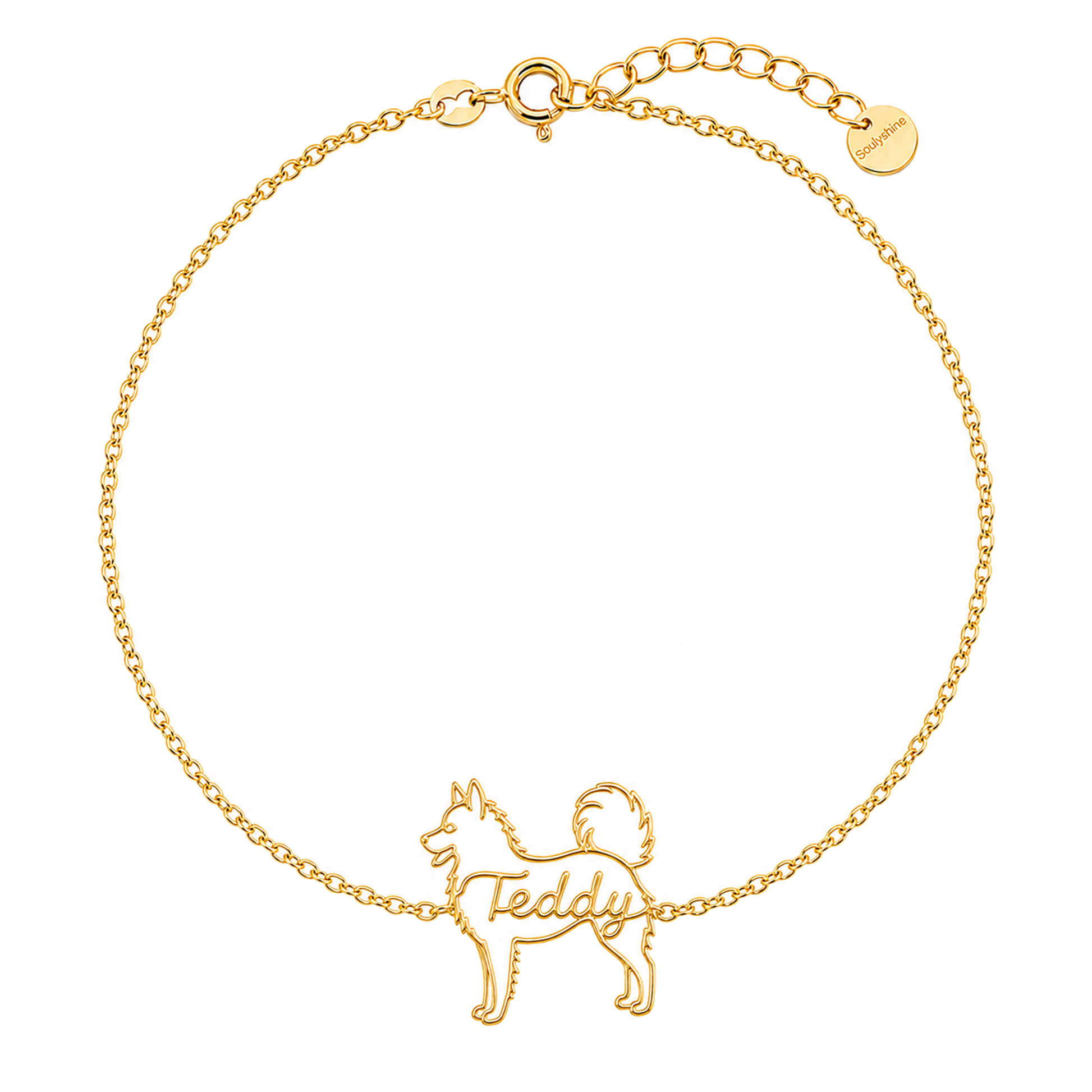 American-Eskimo-Dog_Teddy_Gold.png