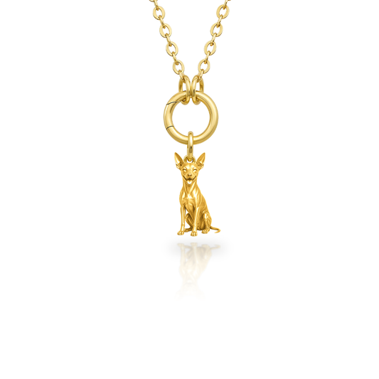 Soulyshine American Hairless Terrier coated Purest Bond Dog Companion Charm Necklace - 18K Gold Vermeil front