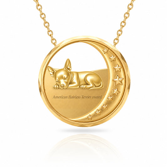 SoulyShine American Hairless Terrier coated Starry Slumber – Personalized Pet in The Moon Necklace - 18K Gold Vermeil front