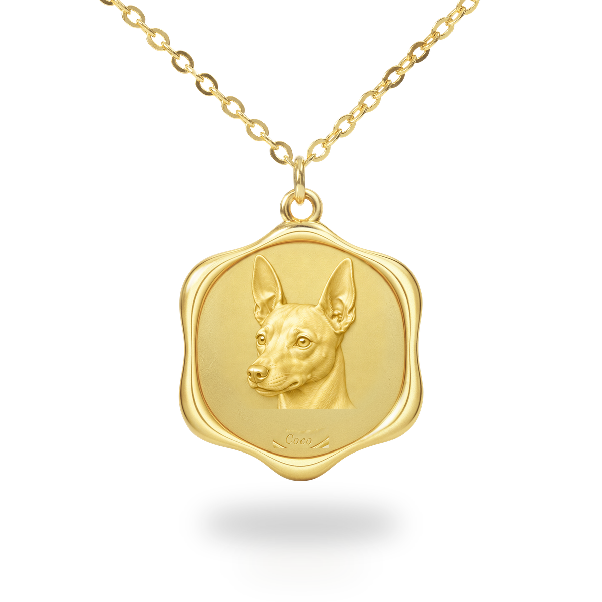 Soulyshine American Hairless Terrier coated Precious Paw personalized pet photo necklace - 18K Gold Vermeil front