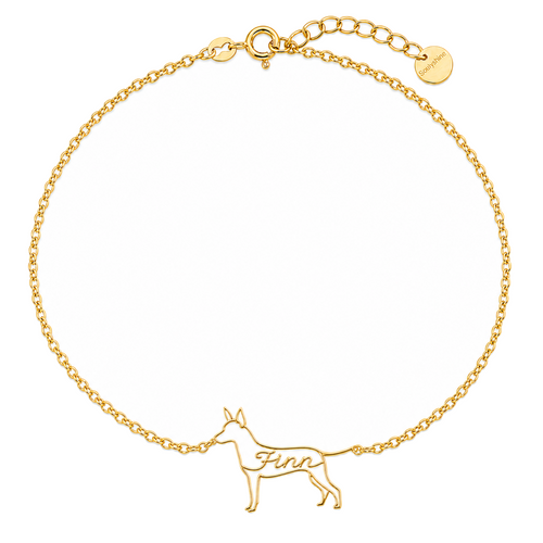 American-Hairless-Terrier-coated_Finn_Gold.png