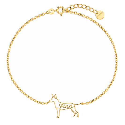 American-Hairless-Terrier-coated_Finn_Gold.png