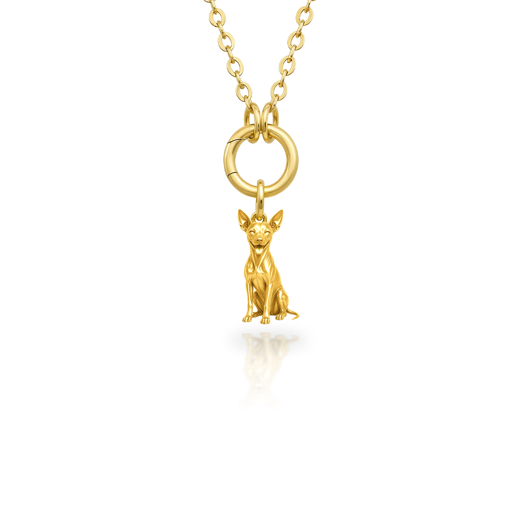 American-Hairless-Terrier-hairless - 18K Gold Vermeil - 1st