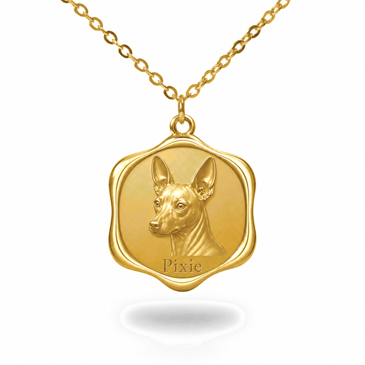 Soulyshine American Hairless Terrier hairless Precious Paw personalized pet photo necklace - 18K Gold Vermeil front