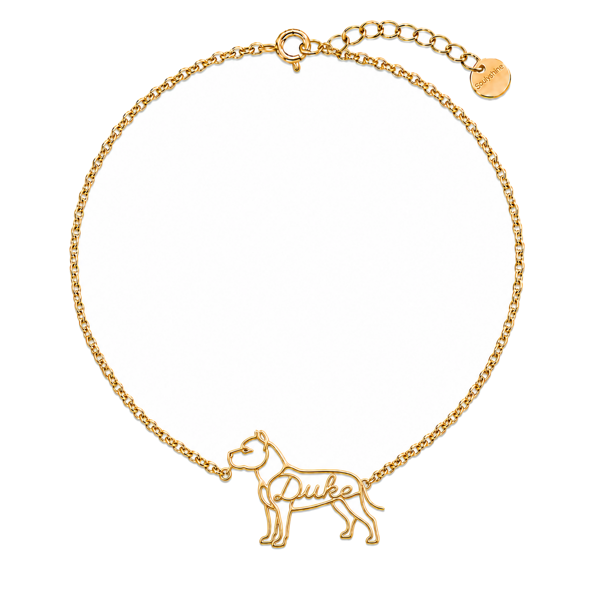 American-Staffordshire-Terrier_Duke_Gold.png