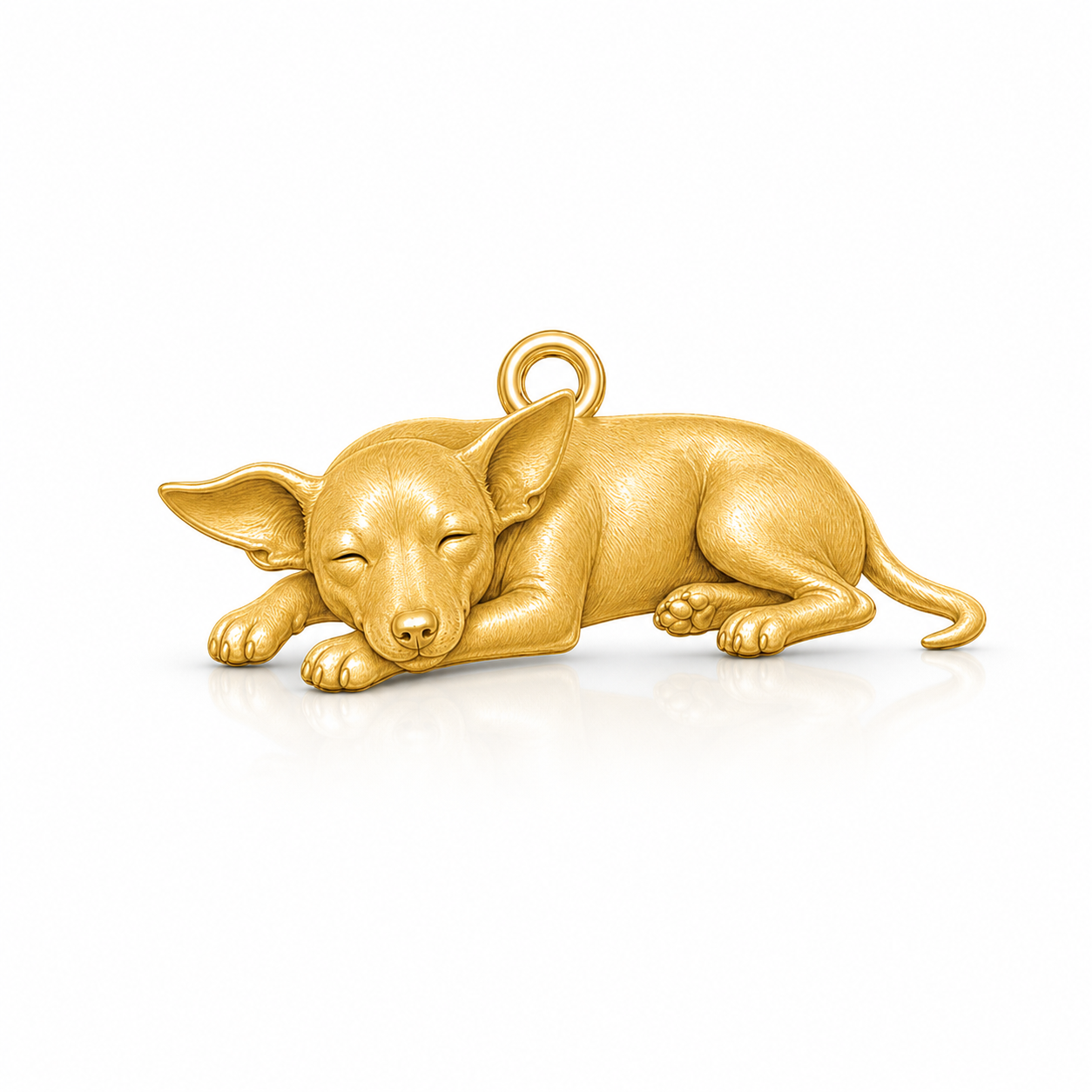 American Hairless Terrier coated 02-mockup-white-1254