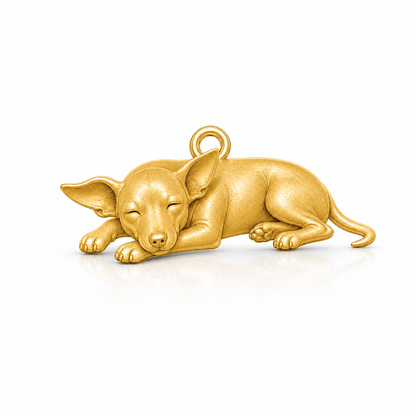 American Hairless Terrier coated 02-mockup-white-1254
