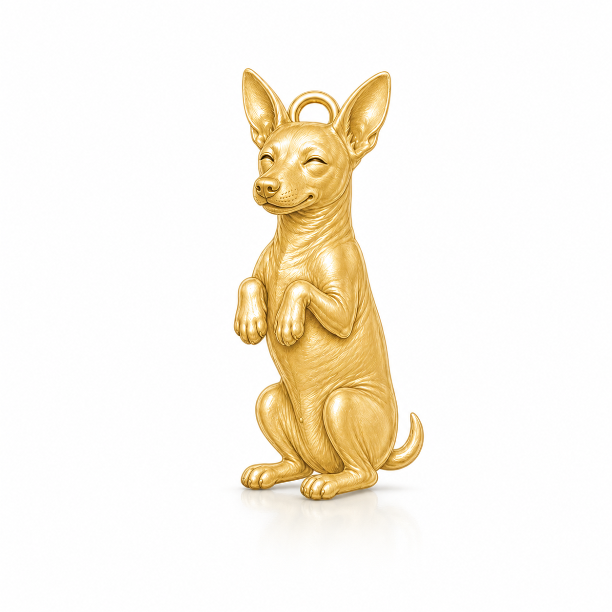 American Hairless Terrier hairless 02-mockup-white-1254