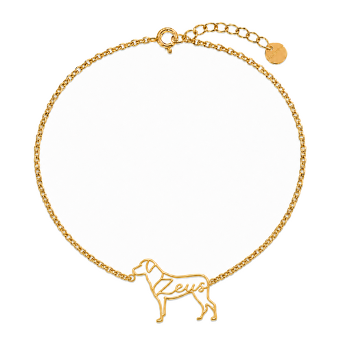 Anatolian-Shepherd-Dog_Zeus_Gold.png