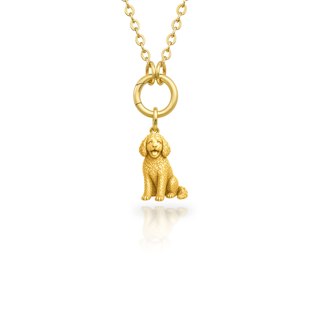 Aussiedoodle - 18K Gold Vermeil - 1st