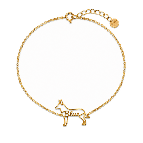 Australian-Cattle-Dog_Blue_Gold.png