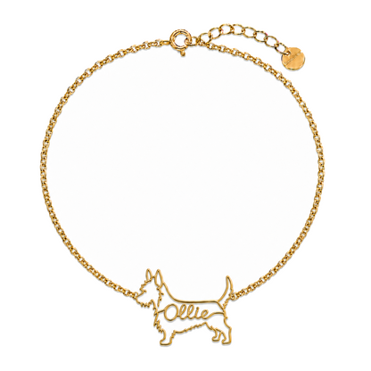 Australian-Terrier_Ollie_Gold.png