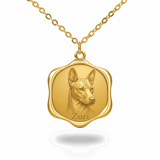 Soulyshine Basenji Precious Paw personalized pet photo necklace - 18K Gold Vermeil front