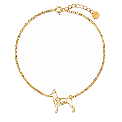 Basenji_Zuri_Gold_DirectHook.png