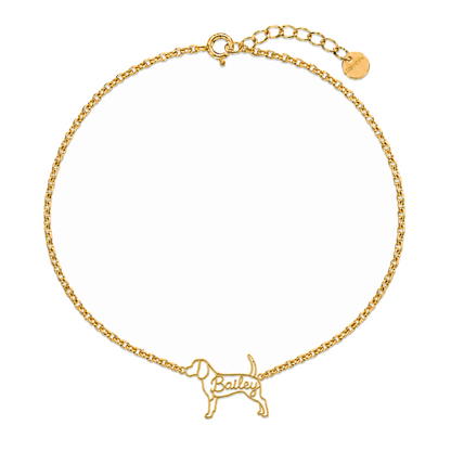 Beagle_Bailey_Gold_DirectHook.png