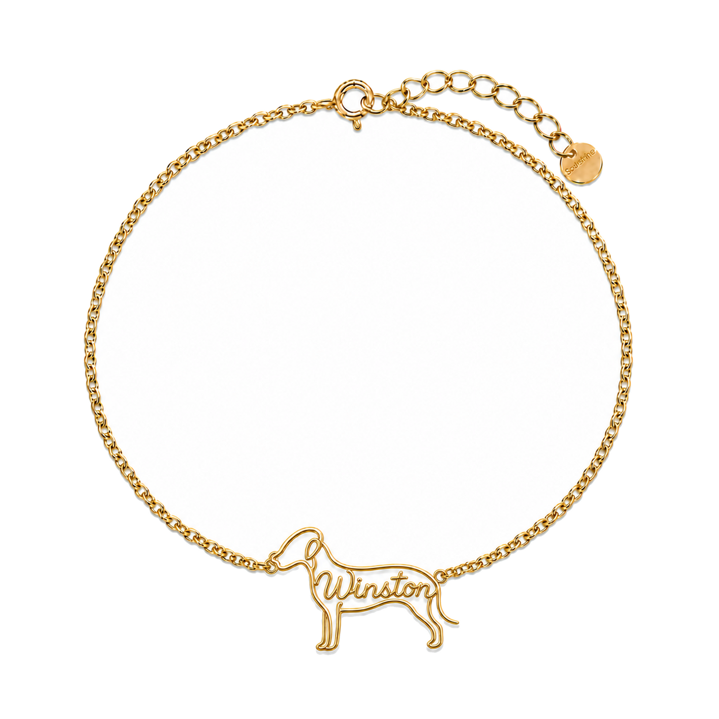 Bedlington-Terrier_Winston_Gold_DirectHook.png