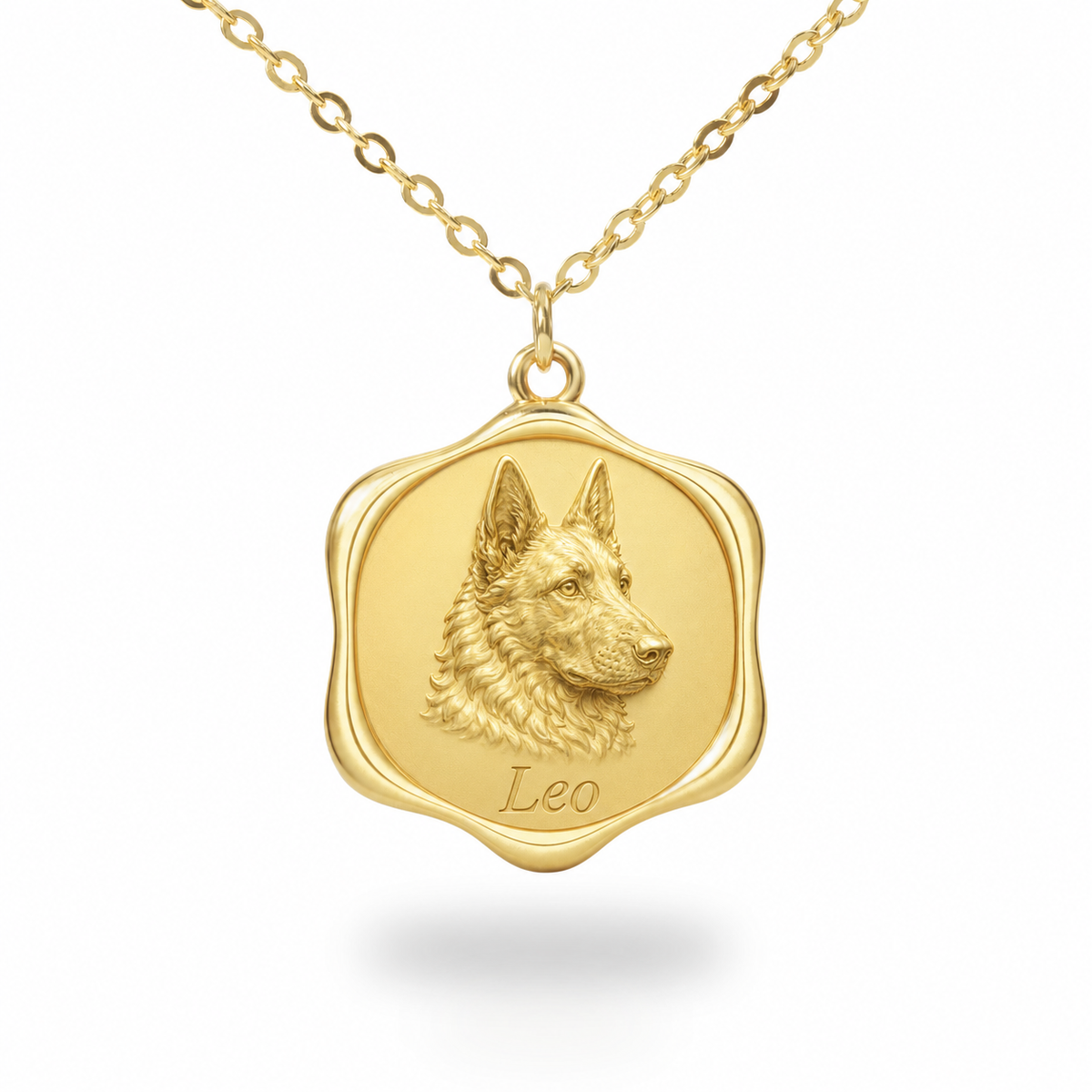 Soulyshine Belgian Laekenois Precious Paw personalized pet photo necklace - 18K Gold Vermeil front