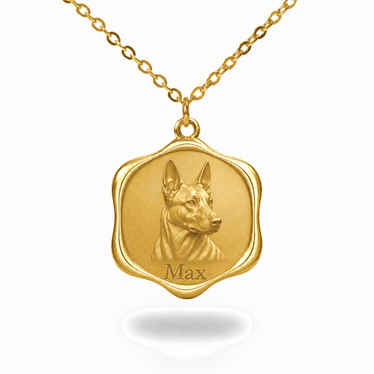 Soulyshine Belgian Malinois Precious Paw personalized pet photo necklace - 18K Gold Vermeil front