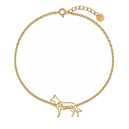 Belgian-Malinois_Phoenix_Gold_DirectHook.png