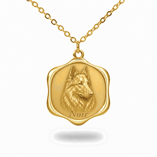 Soulyshine Belgian Sheepdog Precious Paw personalized pet photo necklace - 18K Gold Vermeil front
