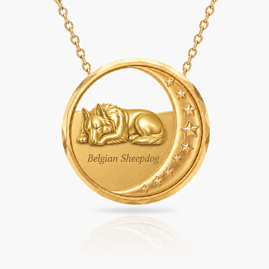 SoulyShine Belgian Sheepdog Starry Slumber – Personalized Pet in The Moon Necklace - 18K Gold Vermeil front