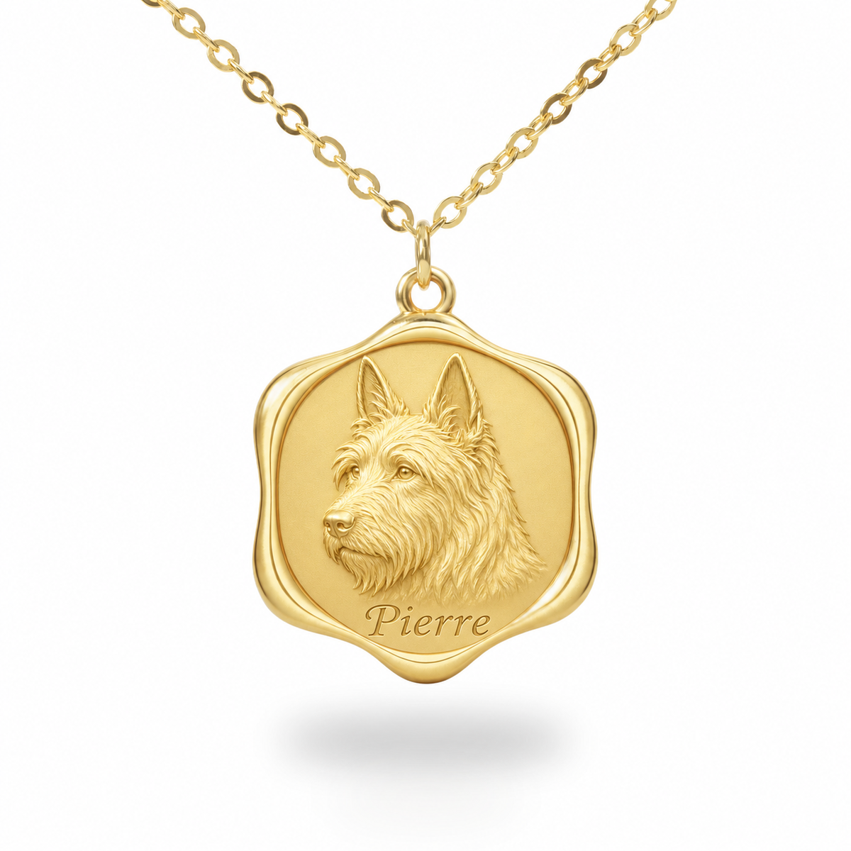 Soulyshine Berger Picard Precious Paw personalized pet photo necklace - 18K Gold Vermeil front