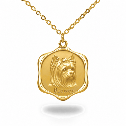 Soulyshine Biewer Terrier Precious Paw personalized pet photo necklace - 18K Gold Vermeil front