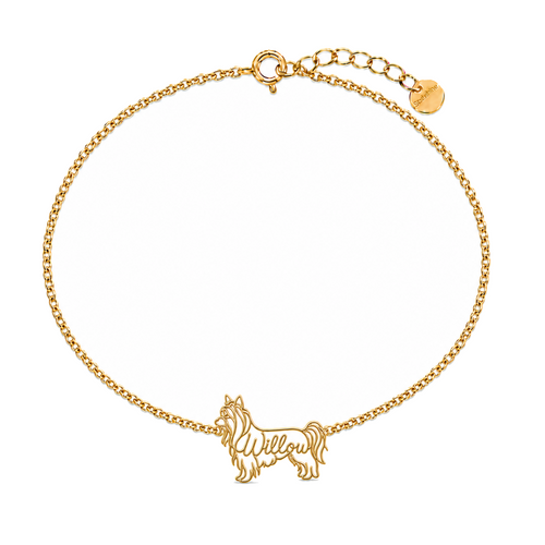Biewer-Terrier_Willow_Gold_DirectHook.png