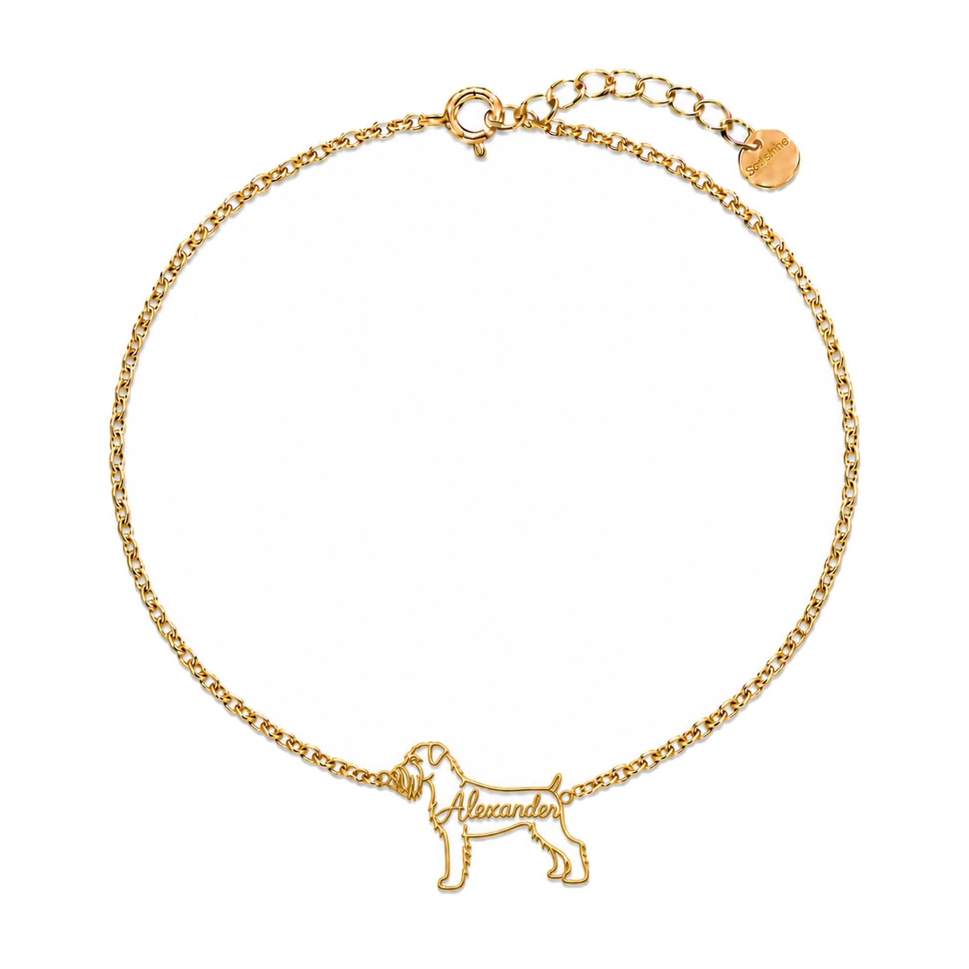 Black-Russian-Terrier_Alexander_Gold_DirectHook.png