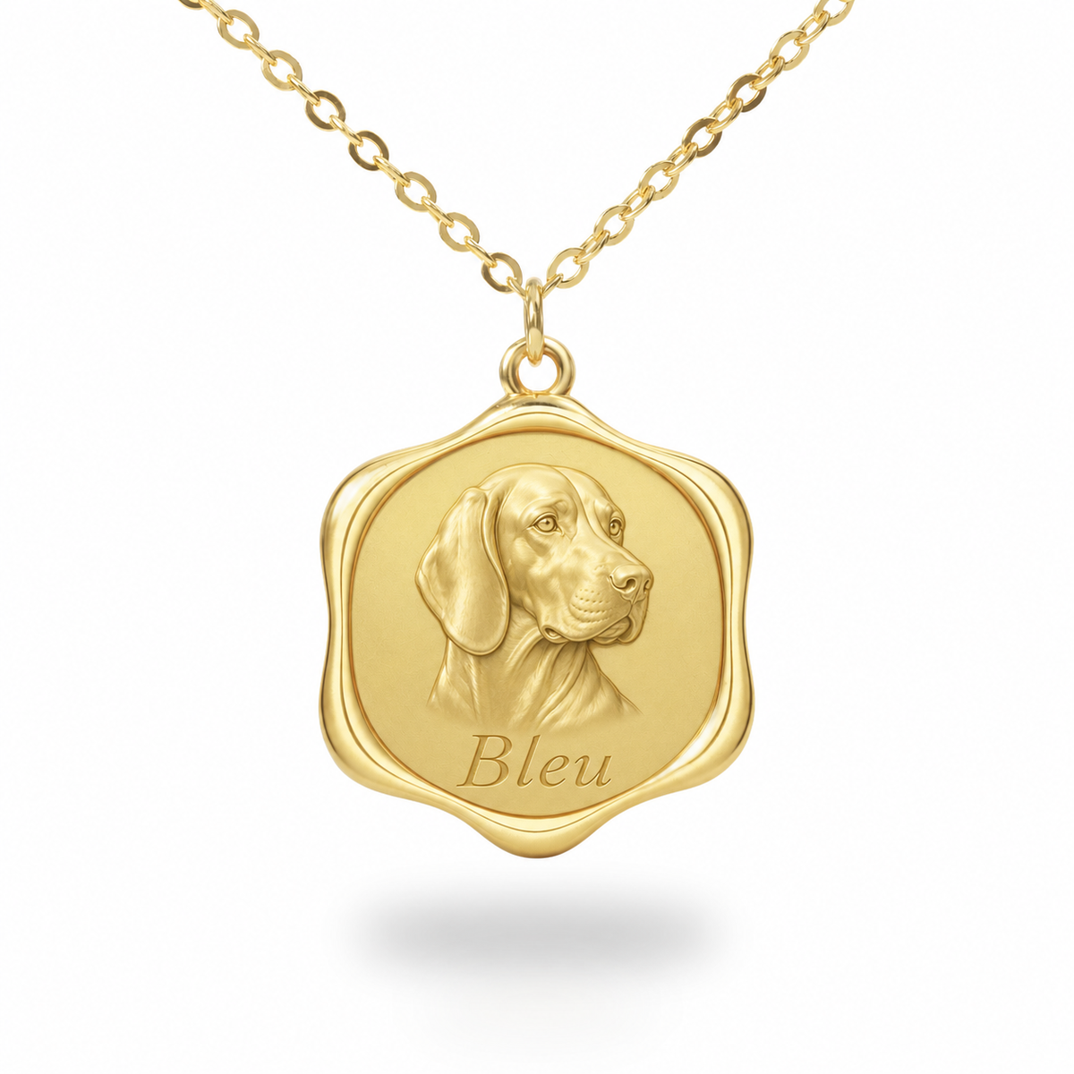 Soulyshine Blue Picardy Spaniel Precious Paw personalized pet photo necklace - 18K Gold Vermeil front
