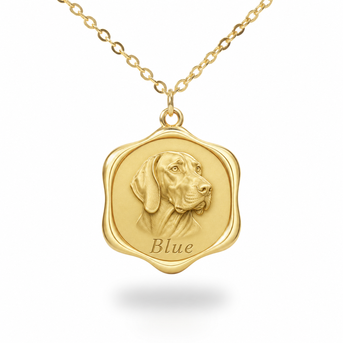 Soulyshine Bluetick Coonhound Precious Paw personalized pet photo necklace - 18K Gold Vermeil front