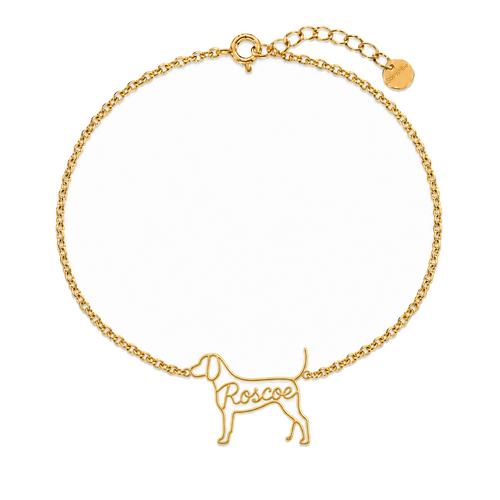 Bluetick-Coonhound_Roscoe_Gold_DirectHook.png