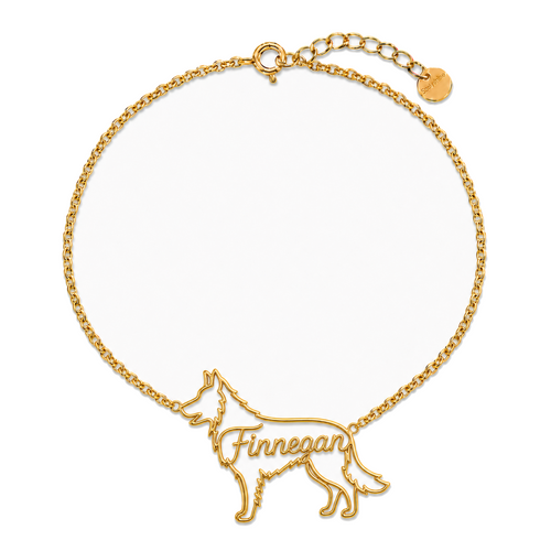 Border-Collie-rough-coat_Finnegan_Gold_DirectHook.png