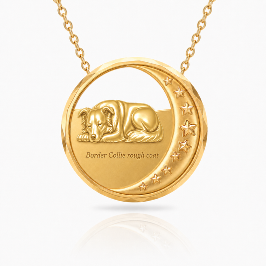 SoulyShine Border Collie rough coat Starry Slumber – Personalized Pet in The Moon Necklace - 18K Gold Vermeil front