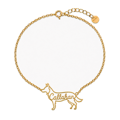 Border-Collie-smooth-coat_Callahan_Gold_DirectHook.png