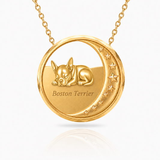 SoulyShine Boston Terrier Starry Slumber – Personalized Pet in The Moon Necklace - 18K Gold Vermeil front